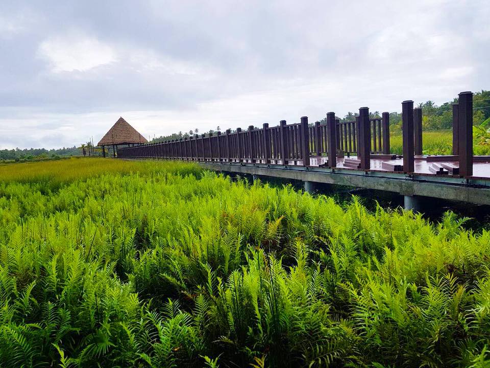 Nature Park and wetlands